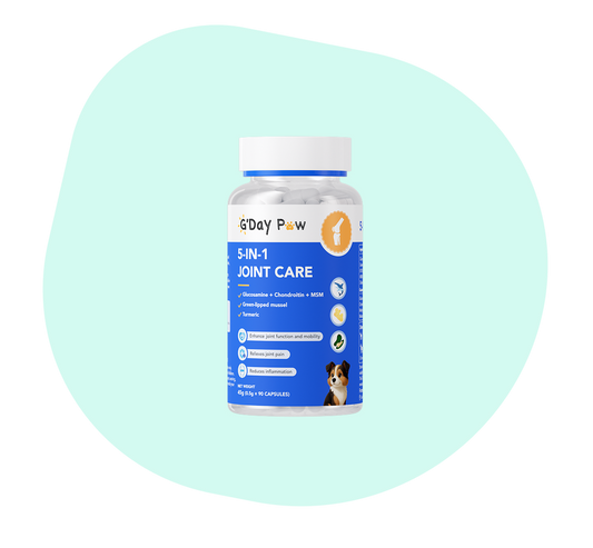 G'Day Paw 5-in-1 Joint Care for Dogs