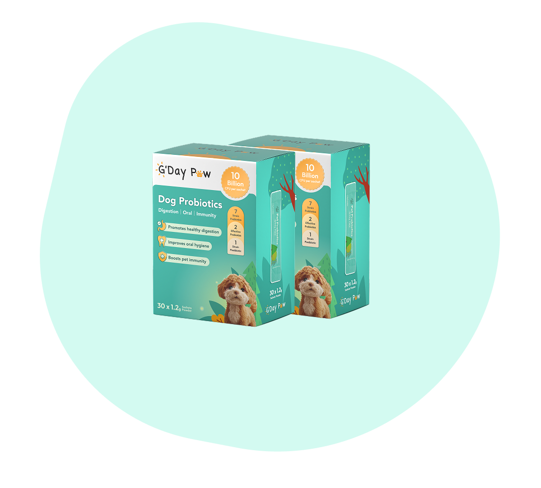2 value packages of G’day Paw Dog Probiotics with 10 million CFU per sachet