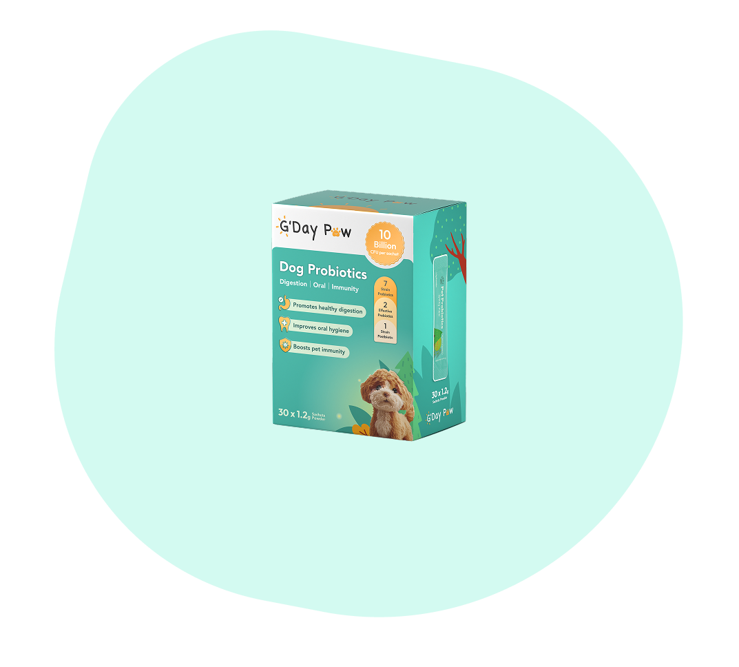 G’day Paw Dog Probiotics with 10 million CFU per sachet