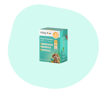G’day Paw Dog Probiotics with 10 million CFU per sachet