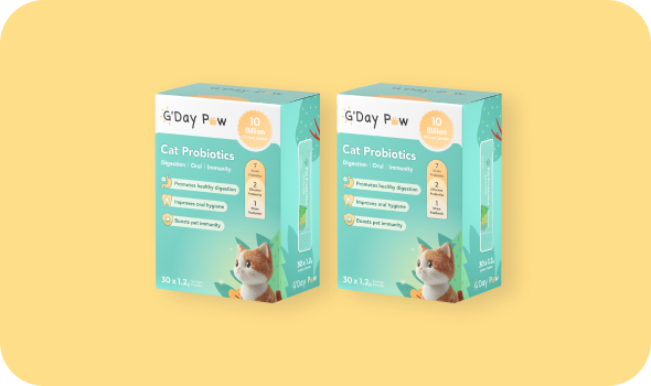 Uploaded Product Image