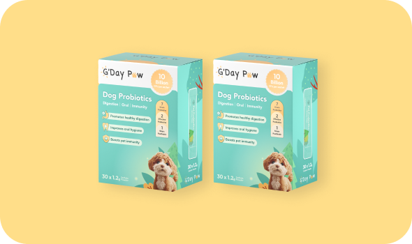 Uploaded Product Image