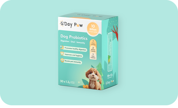 Uploaded Product Image