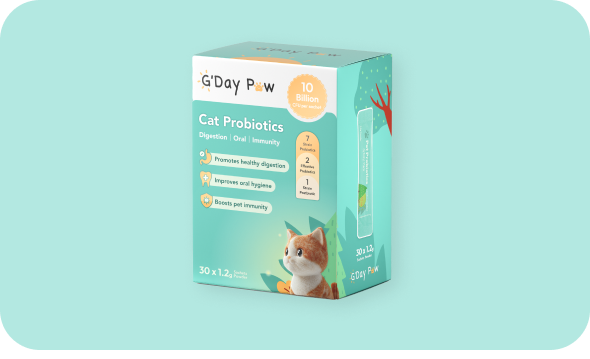 Uploaded Product Image